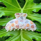 Shells Bombucha