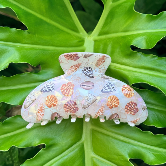 Shells Bombucha