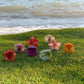 Phases Hawaii Mini Painted floral hair claw clip